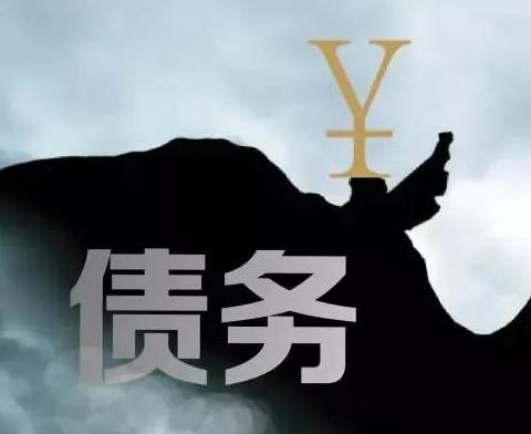 什么是债务优化，理塘债务优化有什么效果？